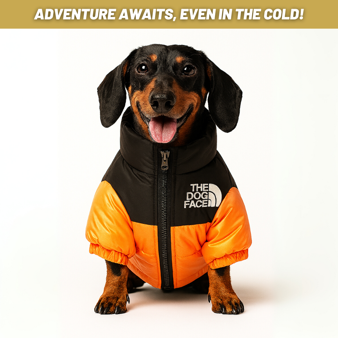 The Dog Face - The Ultimate Pup's Winter Shield