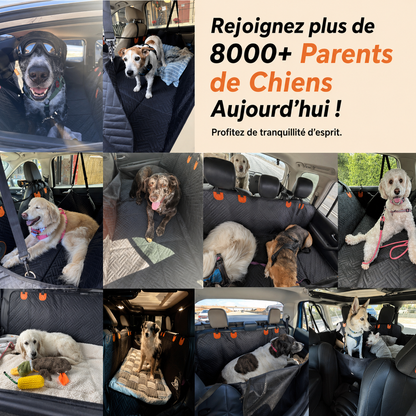PataZen™ Siège Auto Apaisant Anti-Stress